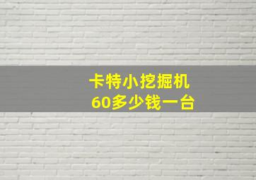 卡特小挖掘机60多少钱一台