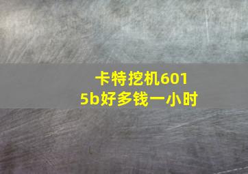 卡特挖机6015b好多钱一小时