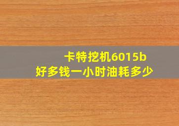 卡特挖机6015b好多钱一小时油耗多少