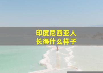 印度尼西亚人长得什么样子