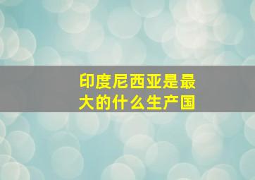 印度尼西亚是最大的什么生产国