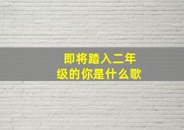 即将踏入二年级的你是什么歌