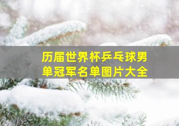 历届世界杯乒乓球男单冠军名单图片大全