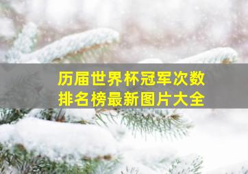 历届世界杯冠军次数排名榜最新图片大全