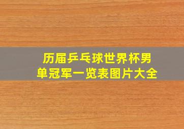 历届乒乓球世界杯男单冠军一览表图片大全