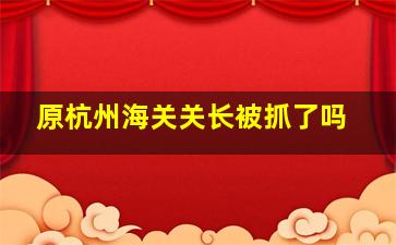 原杭州海关关长被抓了吗