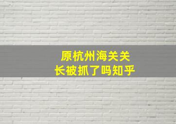 原杭州海关关长被抓了吗知乎