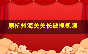 原杭州海关关长被抓视频