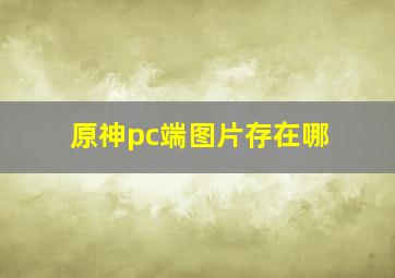 原神pc端图片存在哪