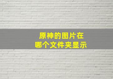 原神的图片在哪个文件夹显示