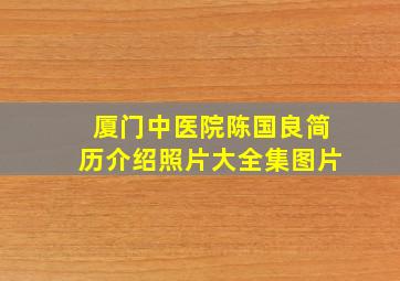 厦门中医院陈国良简历介绍照片大全集图片