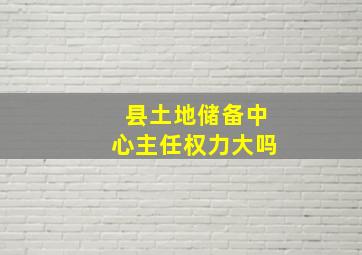 县土地储备中心主任权力大吗