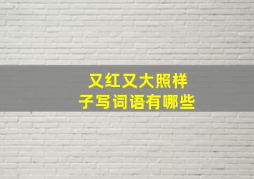 又红又大照样子写词语有哪些