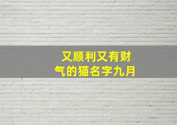 又顺利又有财气的猫名字九月