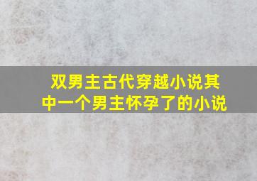 双男主古代穿越小说其中一个男主怀孕了的小说