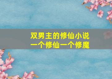 双男主的修仙小说一个修仙一个修魔