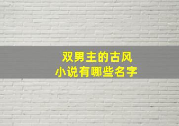 双男主的古风小说有哪些名字