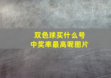 双色球买什么号中奖率最高呢图片