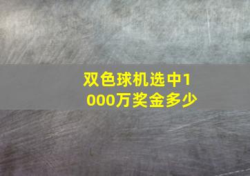 双色球机选中1000万奖金多少