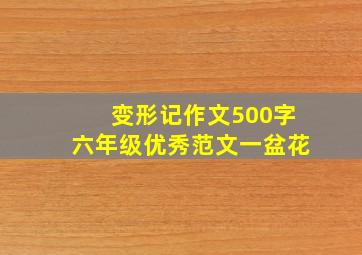 变形记作文500字六年级优秀范文一盆花