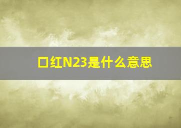 口红N23是什么意思