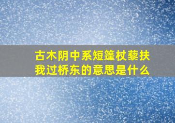 古木阴中系短篷杖藜扶我过桥东的意思是什么