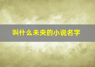 叫什么未央的小说名字