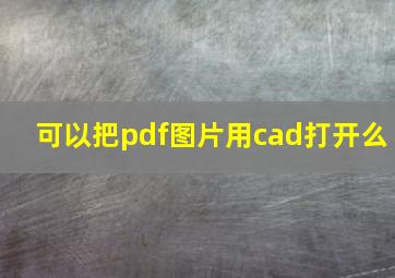 可以把pdf图片用cad打开么