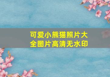 可爱小熊猫照片大全图片高清无水印