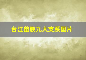 台江苗族九大支系图片