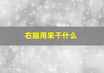 右脑用来干什么