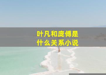 叶凡和庞傅是什么关系小说