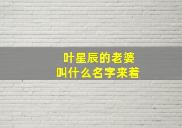 叶星辰的老婆叫什么名字来着