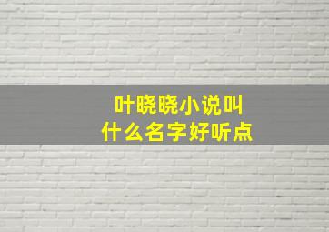 叶晓晓小说叫什么名字好听点