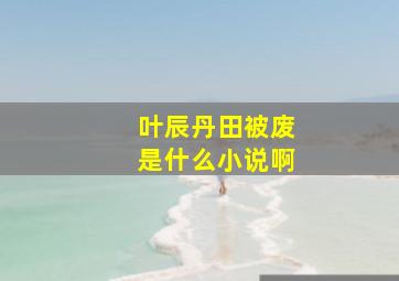 叶辰丹田被废是什么小说啊