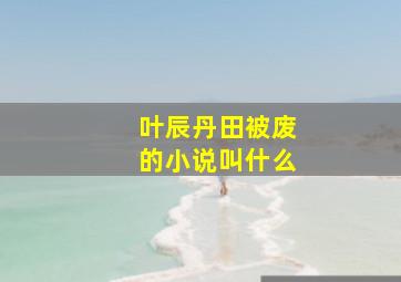 叶辰丹田被废的小说叫什么