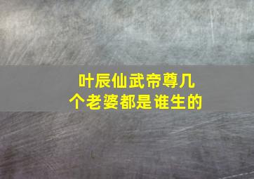 叶辰仙武帝尊几个老婆都是谁生的