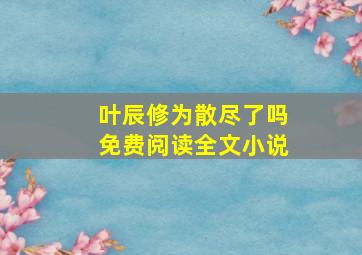 叶辰修为散尽了吗免费阅读全文小说