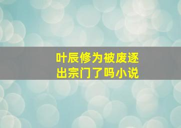 叶辰修为被废逐出宗门了吗小说