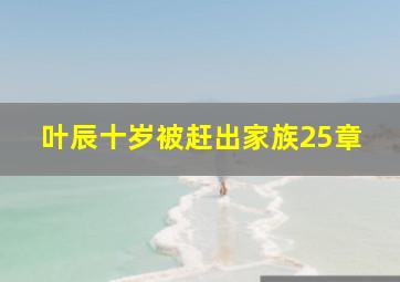 叶辰十岁被赶出家族25章