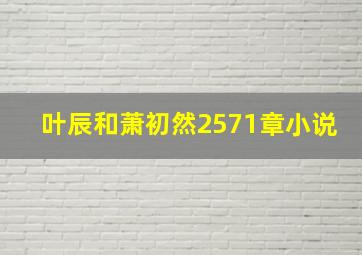 叶辰和萧初然2571章小说