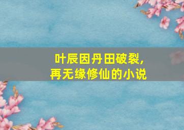 叶辰因丹田破裂,再无缘修仙的小说