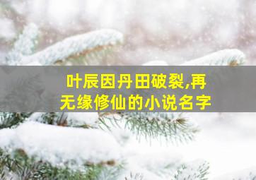 叶辰因丹田破裂,再无缘修仙的小说名字