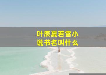 叶辰夏若雪小说书名叫什么