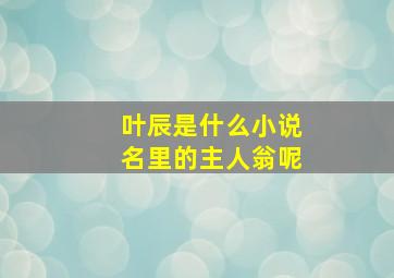 叶辰是什么小说名里的主人翁呢