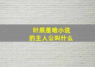 叶辰是啥小说的主人公叫什么