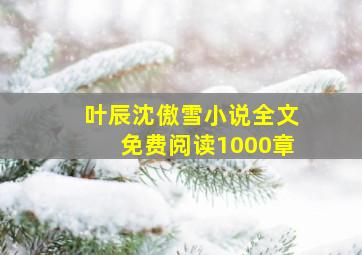 叶辰沈傲雪小说全文免费阅读1000章