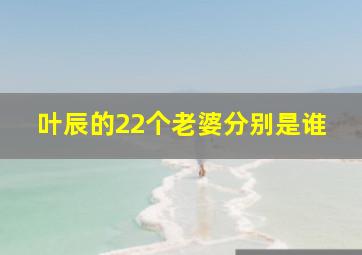 叶辰的22个老婆分别是谁