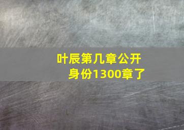 叶辰第几章公开身份1300章了