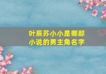 叶辰苏小小是哪部小说的男主角名字